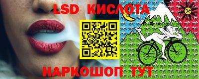 прущие грибы Волгодонск