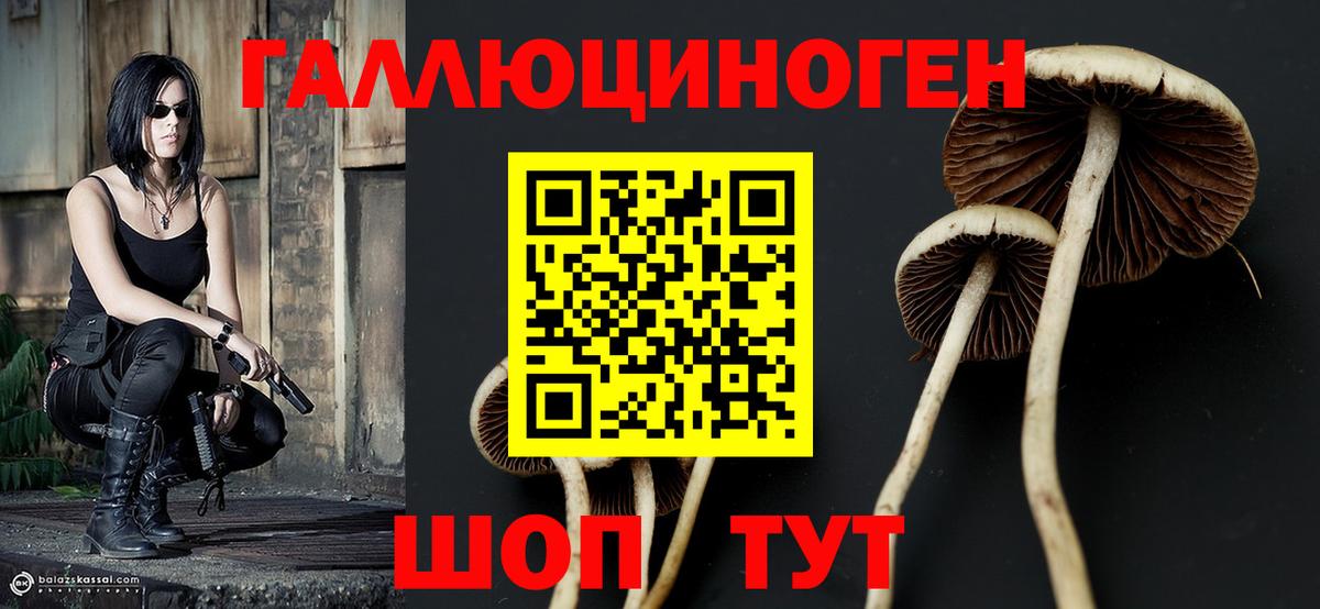 Галлюциногенные грибы ЛСД  Вход с VPN  Петрозаводск 